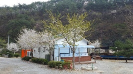 영월 약수터 캠핑장