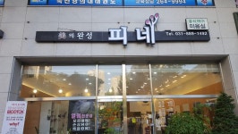 미의완성 피네
