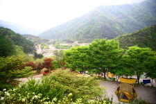 브라보캠핑장