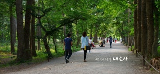 무하리 빨강지붕 펜션