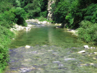 횡성동당미계곡캠핑장&동당미펜션