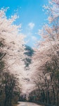 무릉도원 펜션