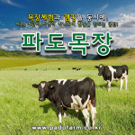 파도목장