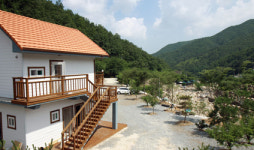 황금펜션