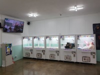 뽑기가안되면홍성스쿨