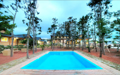 편백나무 한옥펜션 먼나머루