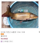 불로장생