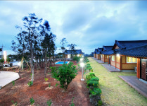 편백나무 한옥펜션 먼나머루