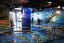 아트윈인터내셔날