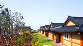 편백나무 한옥펜션 먼나머루