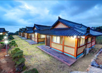 편백나무 한옥펜션 먼나머루