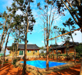 편백나무 한옥펜션 먼나머루