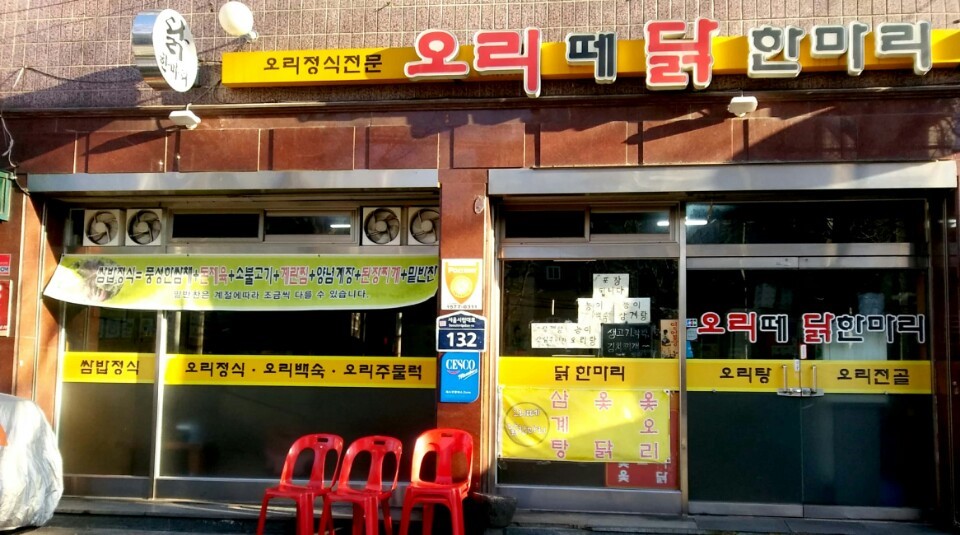 오리떼닭한마리 이미지