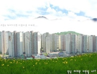 부동산랜드다이렉트공인중개사사무소