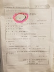 먹어도돼지