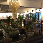 루스트플레이스베라체점