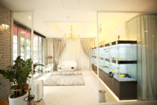 수원강아지분양 고양이분양 아이러브독 말티즈말티푸미니비숑