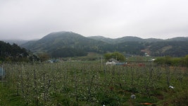 초지평화농장