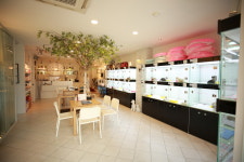 수원강아지분양 고양이분양 아이러브독 말티즈말티푸미니비숑