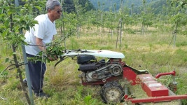 영농조합법인 알토팜