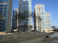 그린종합조경