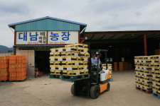 대남농장