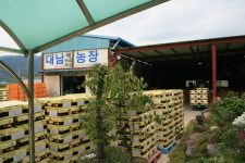 대남농장