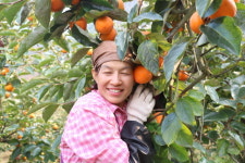 지리산담쟁이농원