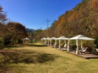 8코기네 애견펜션