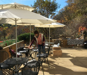 8코기네 애견펜션