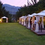 8코기네 애견펜션