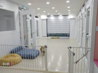 더도그맨션
