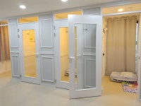 더도그맨션