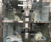21세기동물병원