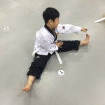 충효태권도