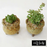 아름화원