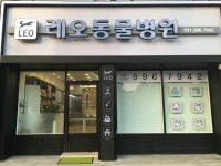 레오동물병원 김포
