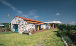 제주드레곤하우스