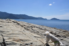 남해라루나게스트하우스