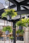 D CAFE 동대문점