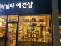 바닐라애견