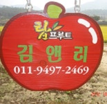 김앤리사과