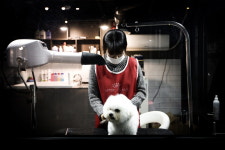 레인바우 세종본점