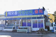 해오름자연산횟집 주문진점