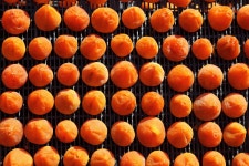 영이랑 민이랑 농장