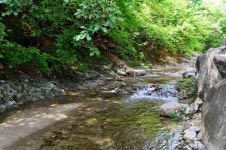 뒤뜰계곡예쁜집펜션