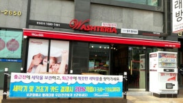 워시테리아 아라점