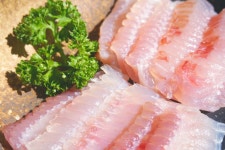 생선톡톡