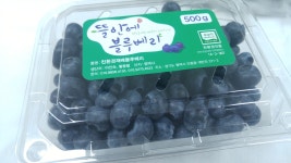 뜰안에블루베리농원