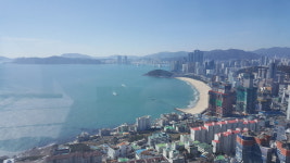 딸기공인중개사사무소